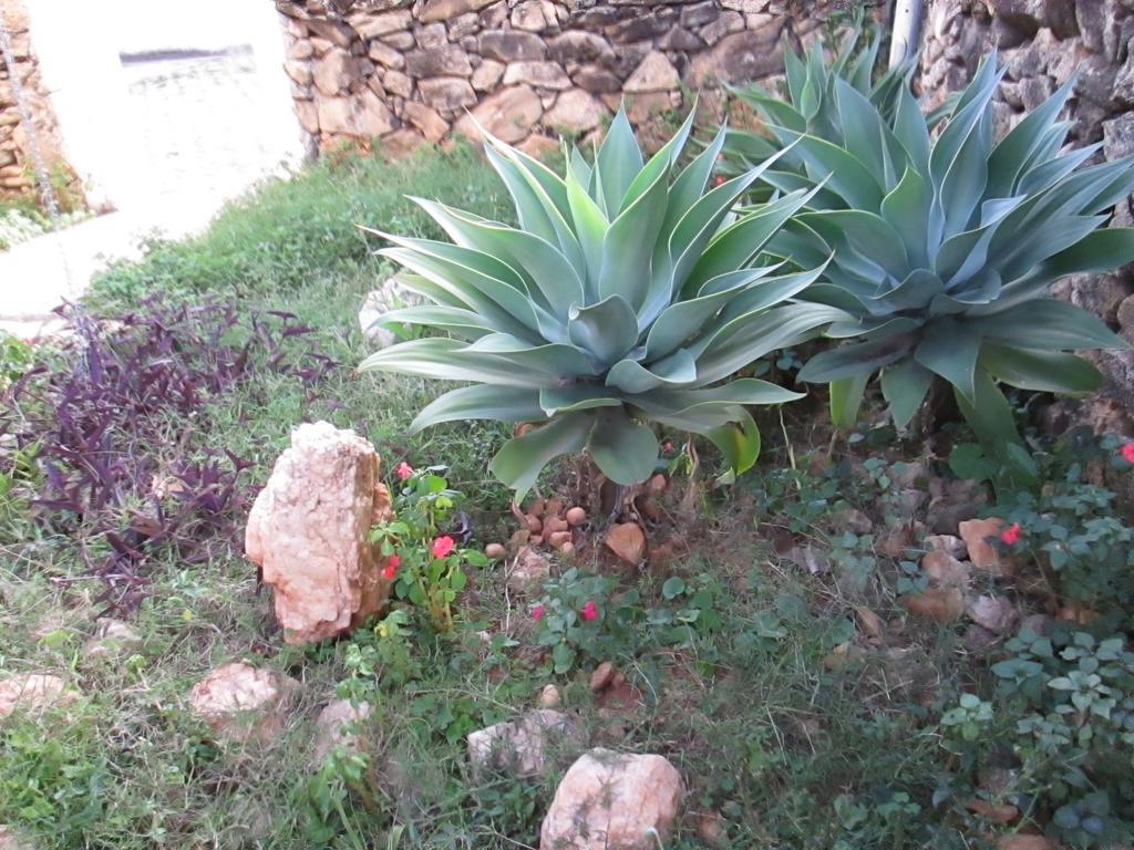 Pousada As Reliquias De Minas Tiradentes Zewnętrze zdjęcie